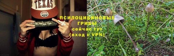 ешки Каменка