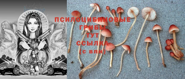 мяу мяу кристалл Каменногорск
