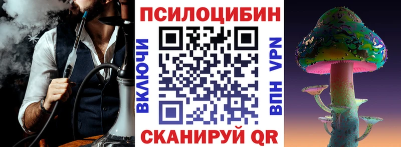 Купить  Ершов  Галлюциногенные грибы мухоморы 