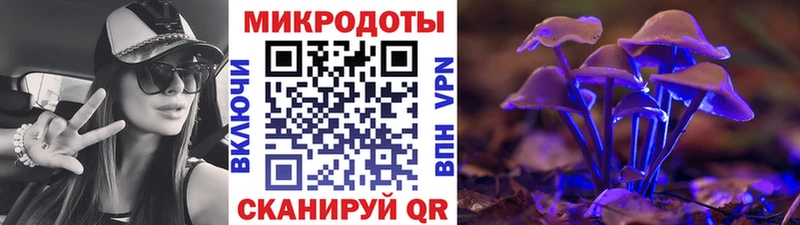 Псилоцибиновые грибы Psilocybe Ершов